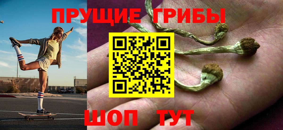 Шатура  купить закладку  Вход с VPN  Псилоцибиновые грибы Psilocybe  Галлюциногенные грибы MAGIC MUSHROOMS 